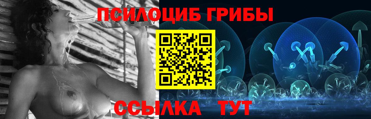 Галлюциногенные грибы мицелий  Вход с VPN  Кириши 